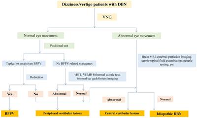 Analysis of etiology and clinical features of spontaneous downbeat nystagmus: a retrospective study